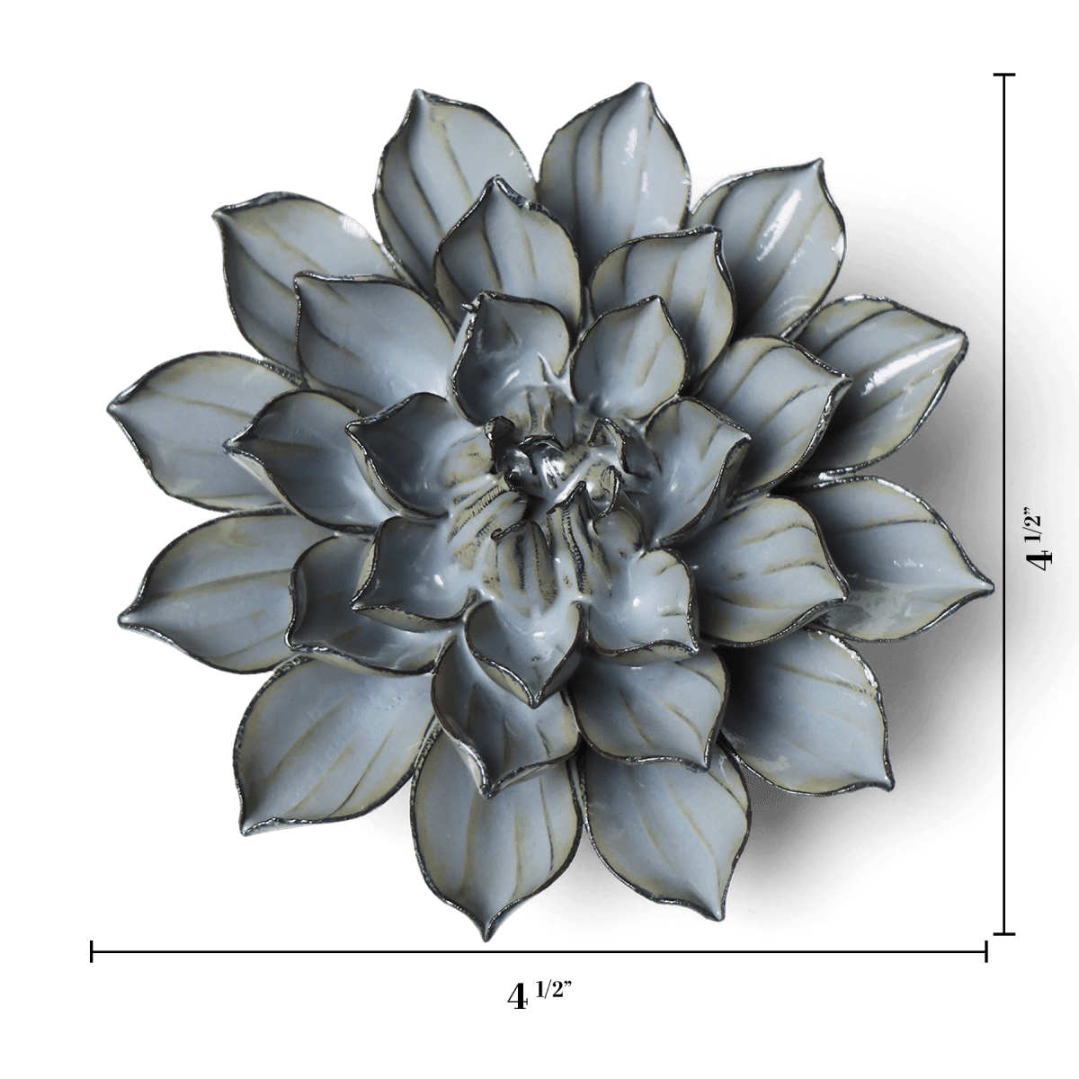 JA03 Grey Green Monch Aster - Chive US Wholesale