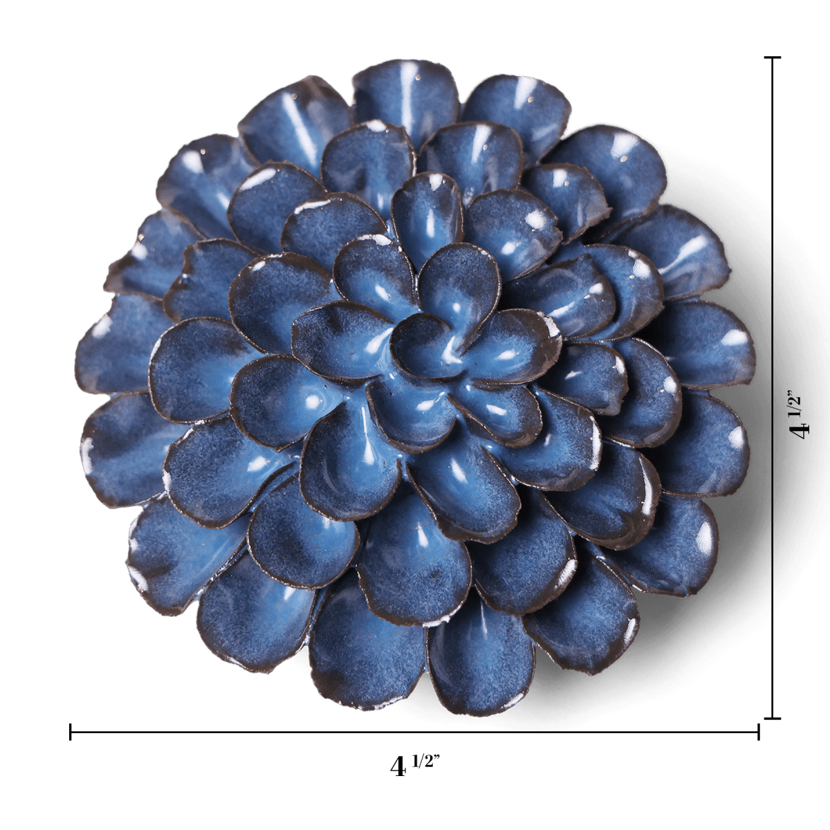 JA04 Blue Noir Pompon Dahlia - Chive US Wholesale