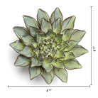 JA06 Pear Green Calico Aster - Chive US Wholesale