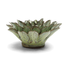 JA06 Pear Green Calico Aster - Chive US Wholesale