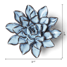 JA07 Seasonal Blue Alpine Aster - Chive US Wholesale