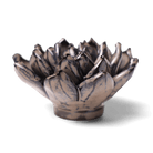 JA08 Latte Lola Echeveria - Chive US Wholesale