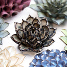 JA08 Latte Lola Echeveria - Chive US Wholesale