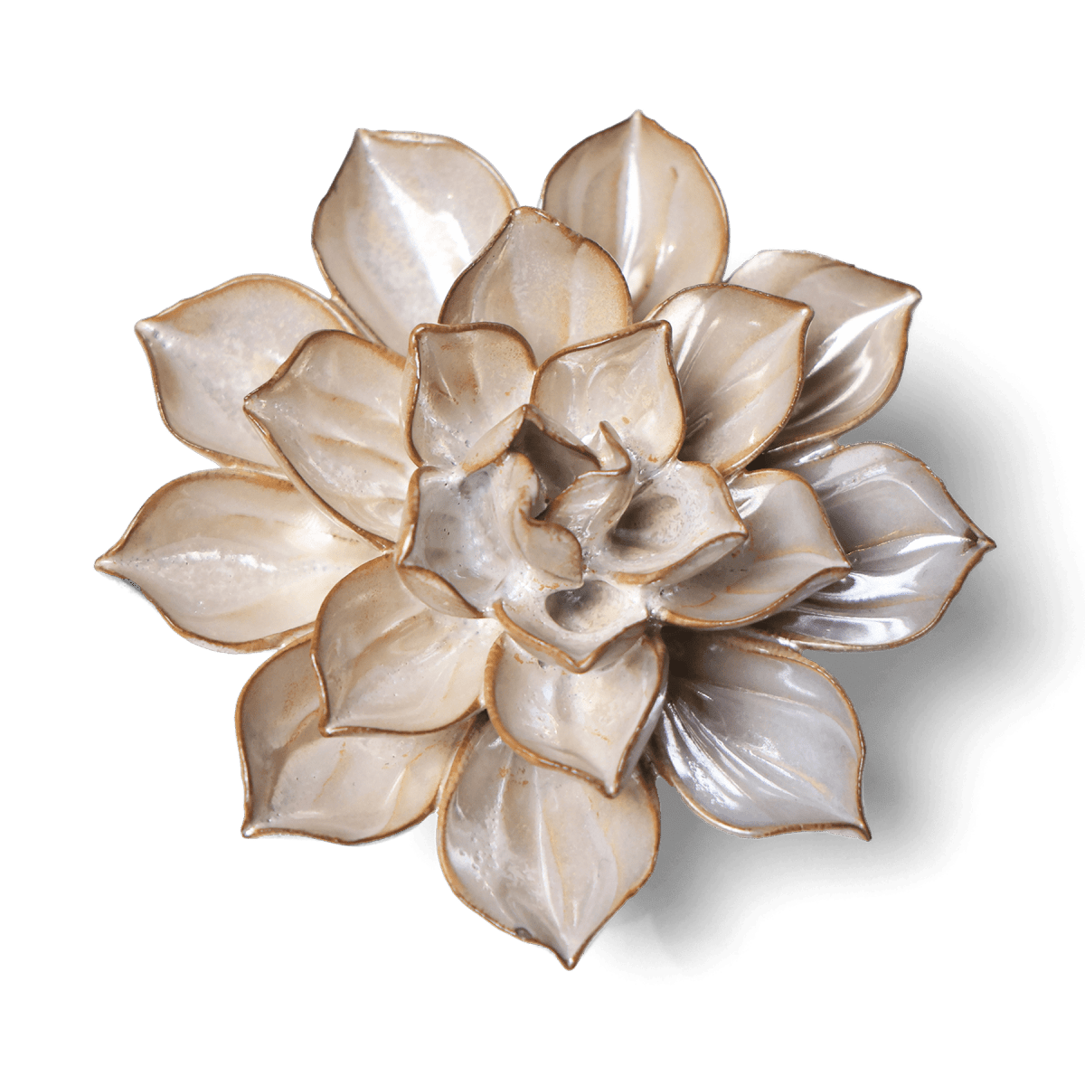 meadowflower クラウン 0-2y Collection 8 – Chive US Wholesale