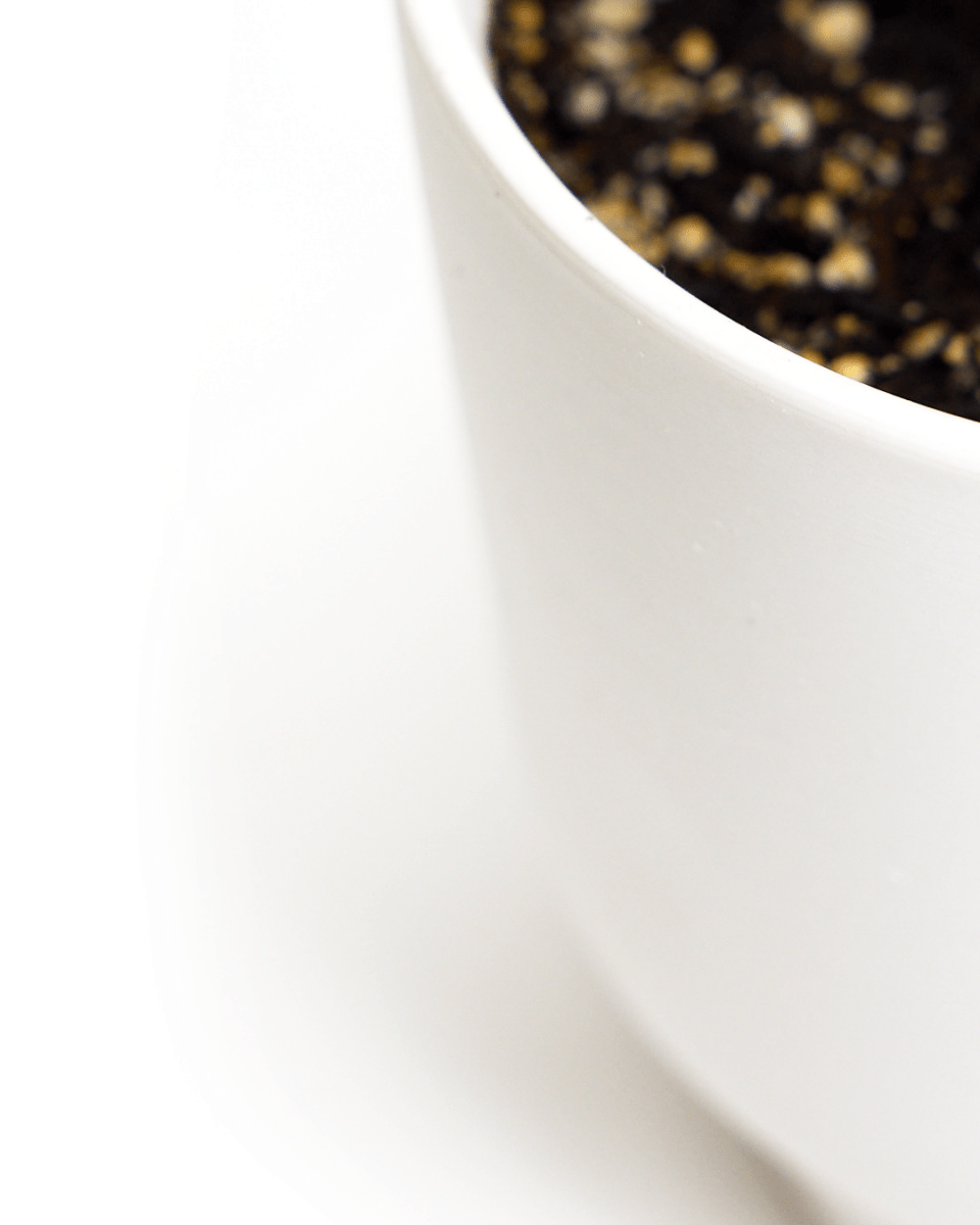 Casey Porcelain Modern Pot And Saucer Set - Chive US Wholesale