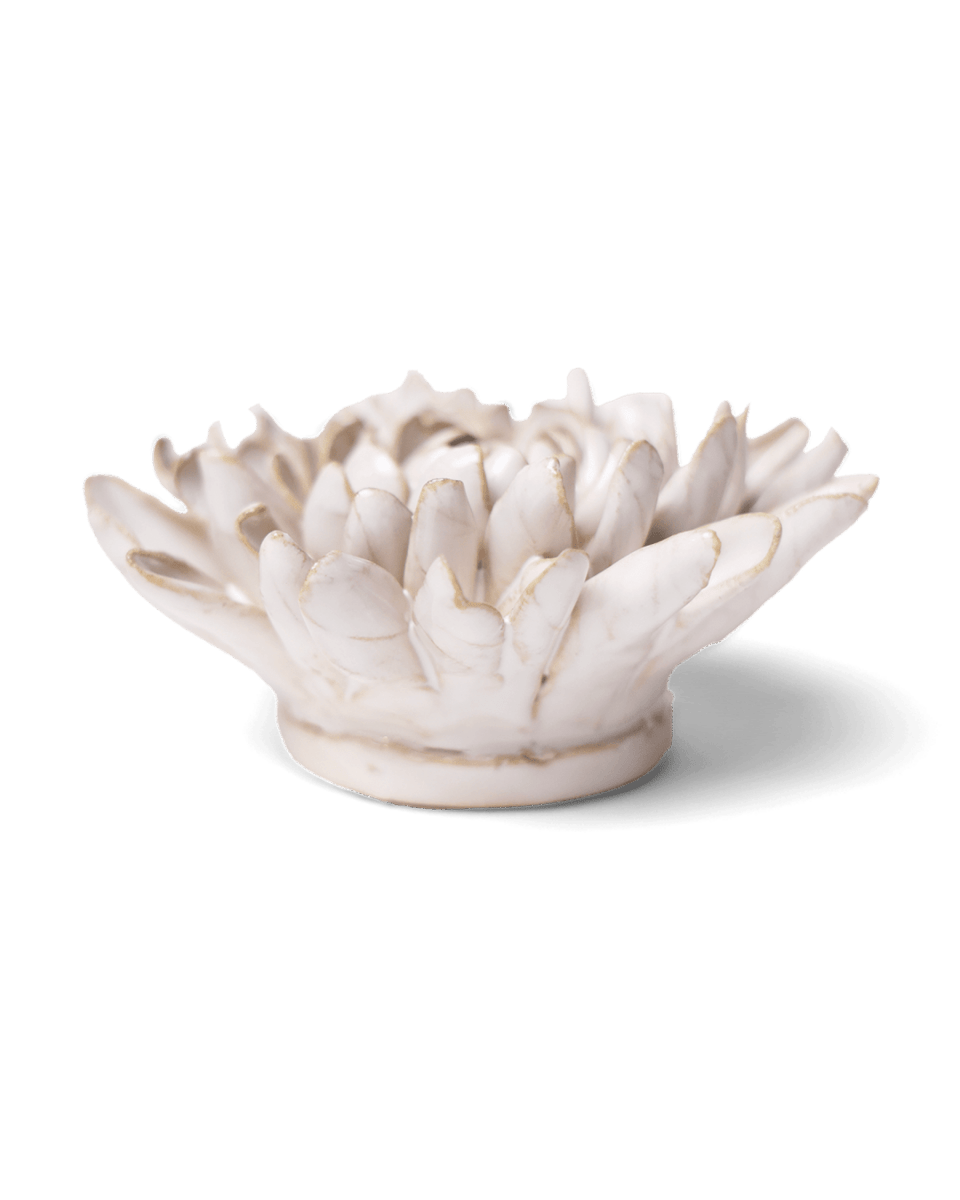CO02 Ivory Chrysanthemum - Chive US Wholesale