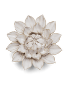 CO01 Ivory Monch Aster - Chive US Wholesale