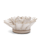 CO01 Ivory Monch Aster - Chive US Wholesale