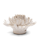 CO04 Ivory Spider Mum - Chive US Wholesale