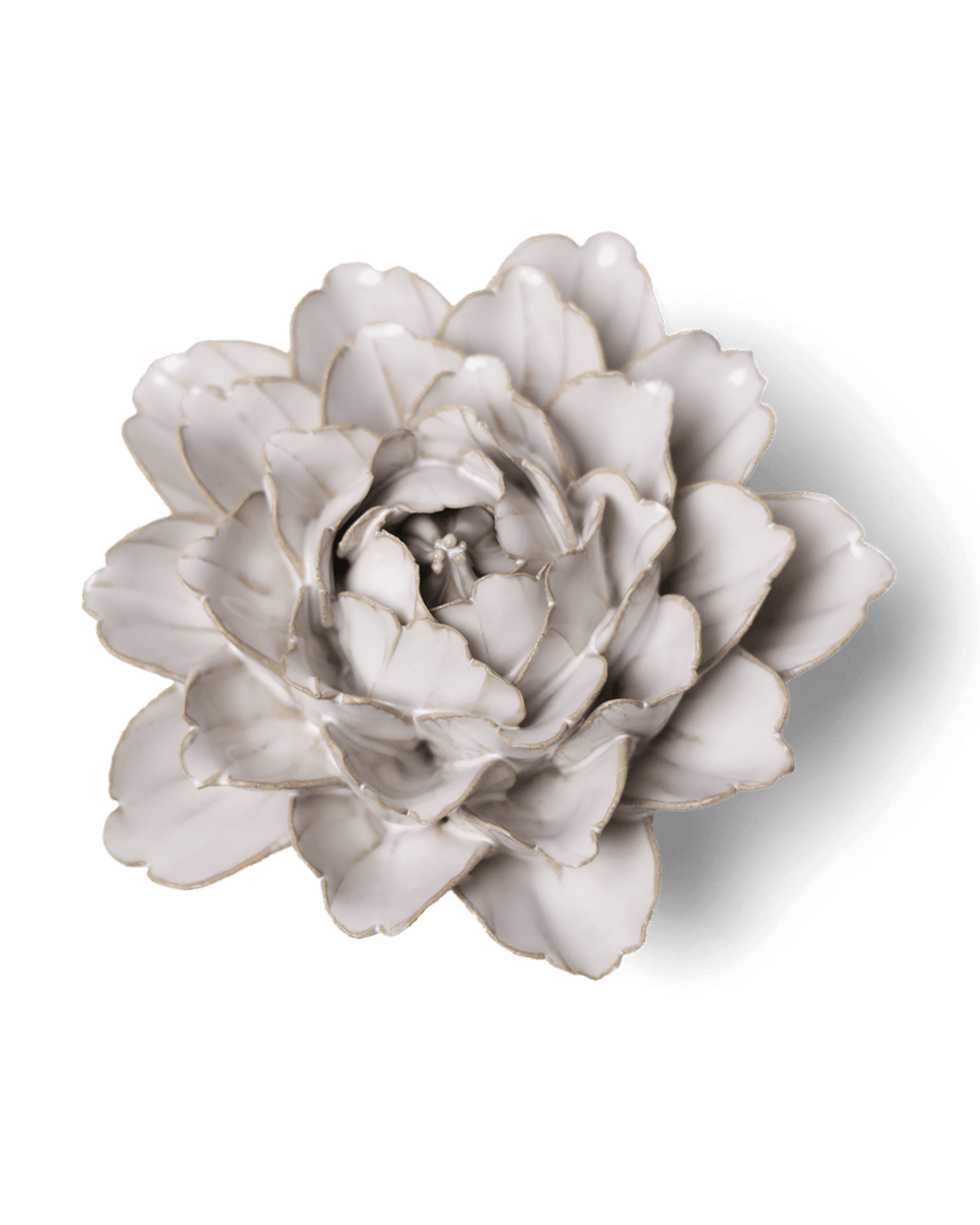 CO05 Ivory Comanche Peony - Chive US Wholesale