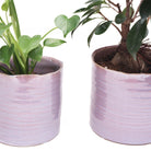 Channa Ceramic Planter Pot - Chive US Wholesale