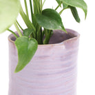 Channa Ceramic Planter Pot - Chive US Wholesale