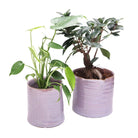 Channa Ceramic Planter Pot - Chive US Wholesale