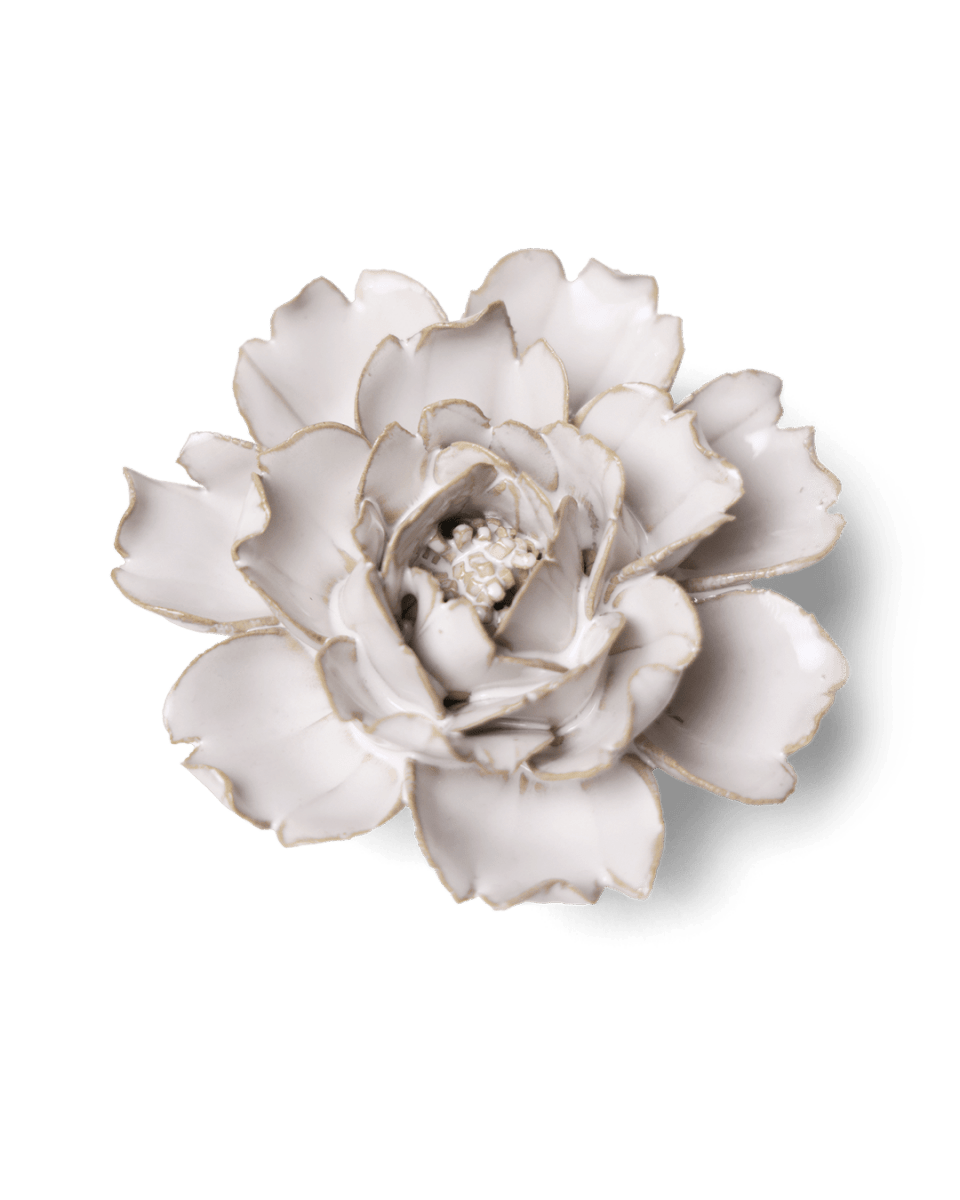 CO03 Ivory Rose - Chive US Wholesale