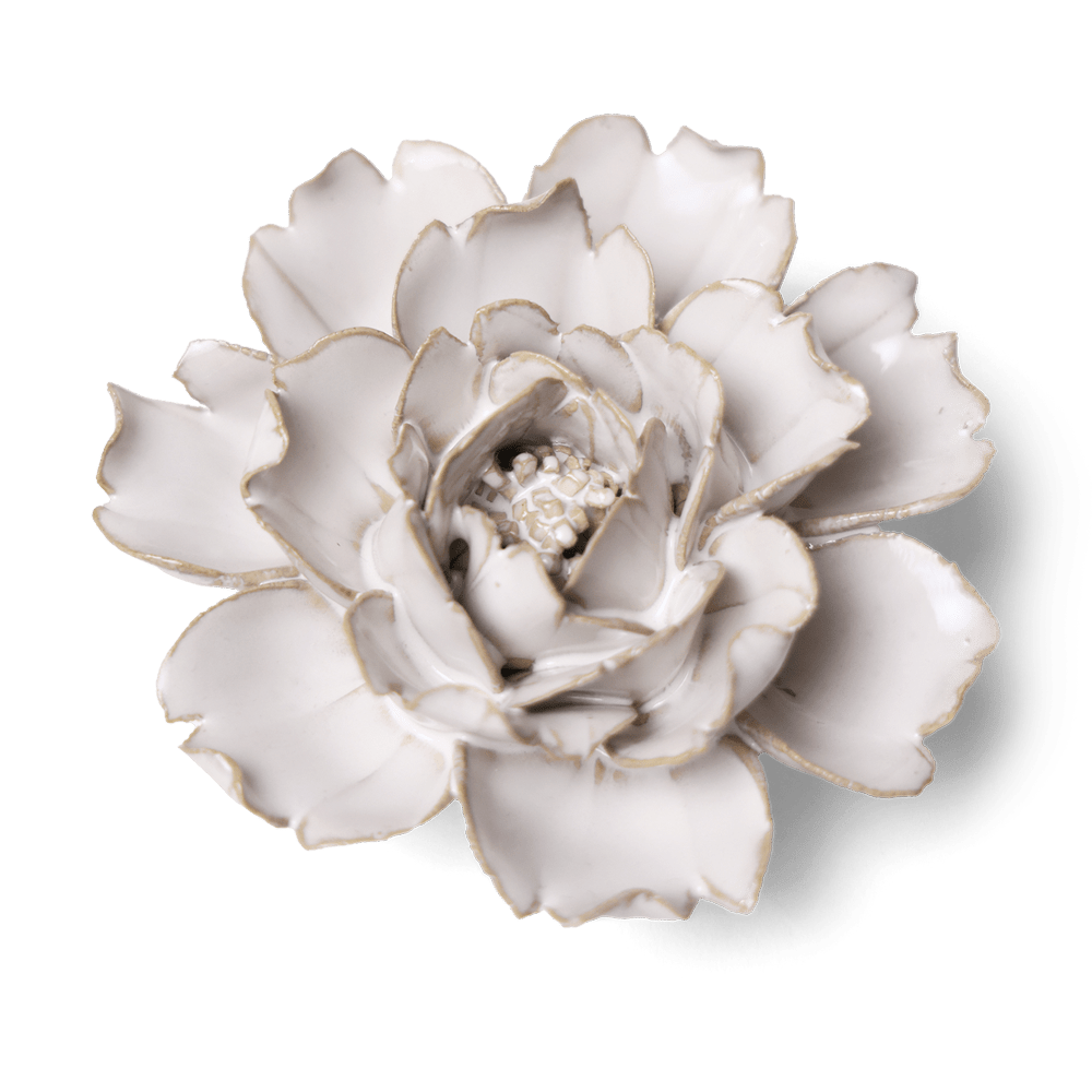 Coastal Ceramic Flower Ivory Rose - Chive US Wholesale