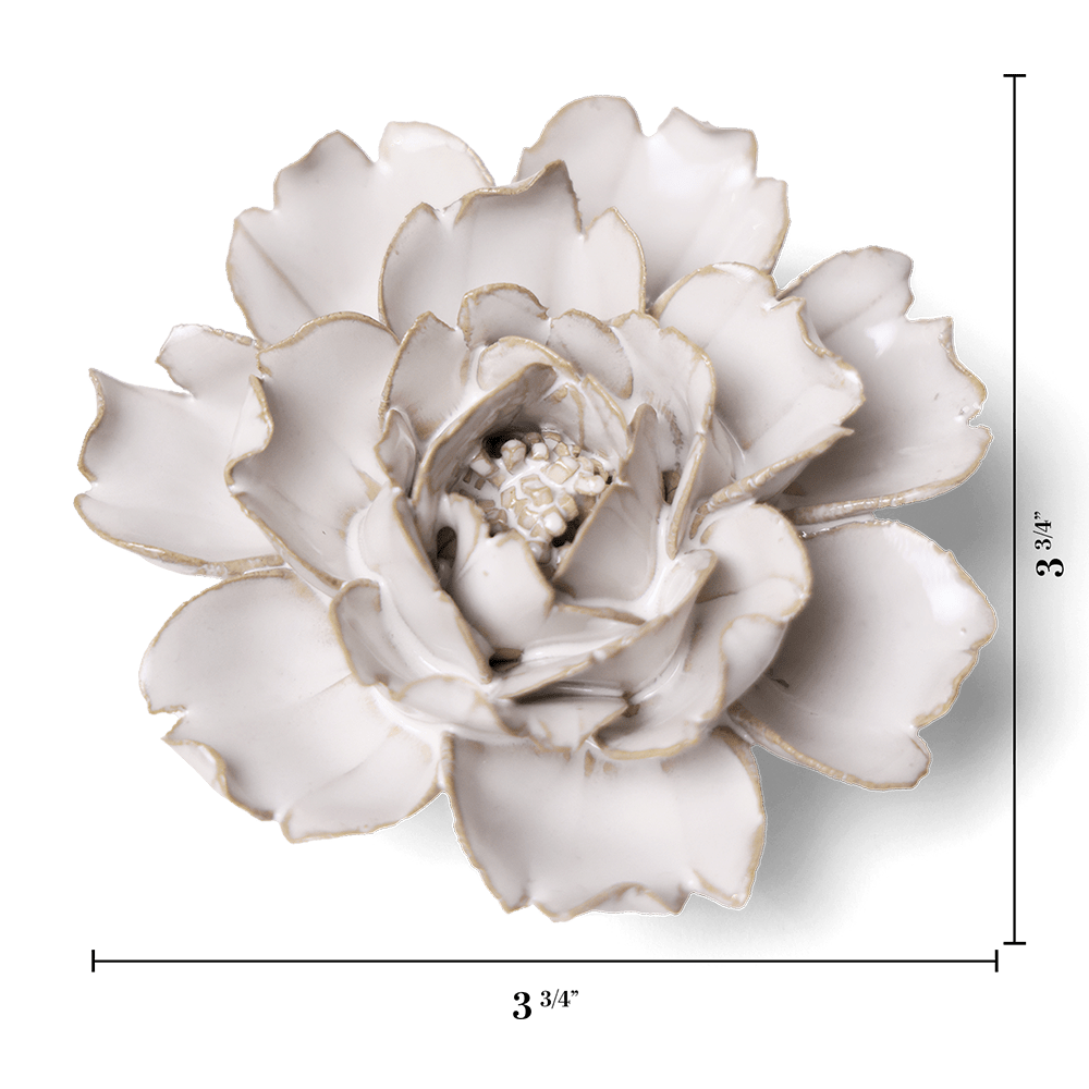 Coastal Ceramic Flower Ivory Rose - Chive US Wholesale