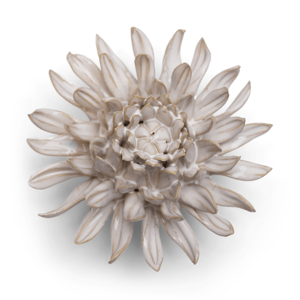 Coastal Ceramic Flower Ivory Spider Mum - Chive US Wholesale