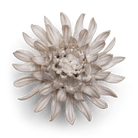 Coastal Ceramic Flower Ivory Spider Mum - Chive US Wholesale