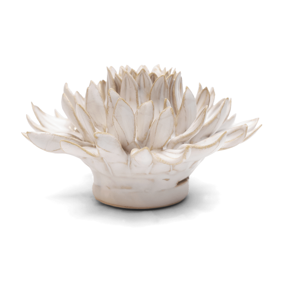 Coastal Ceramic Flower Ivory Spider Mum - Chive US Wholesale