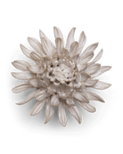 CO04 Ivory Spider Mum - Chive US Wholesale