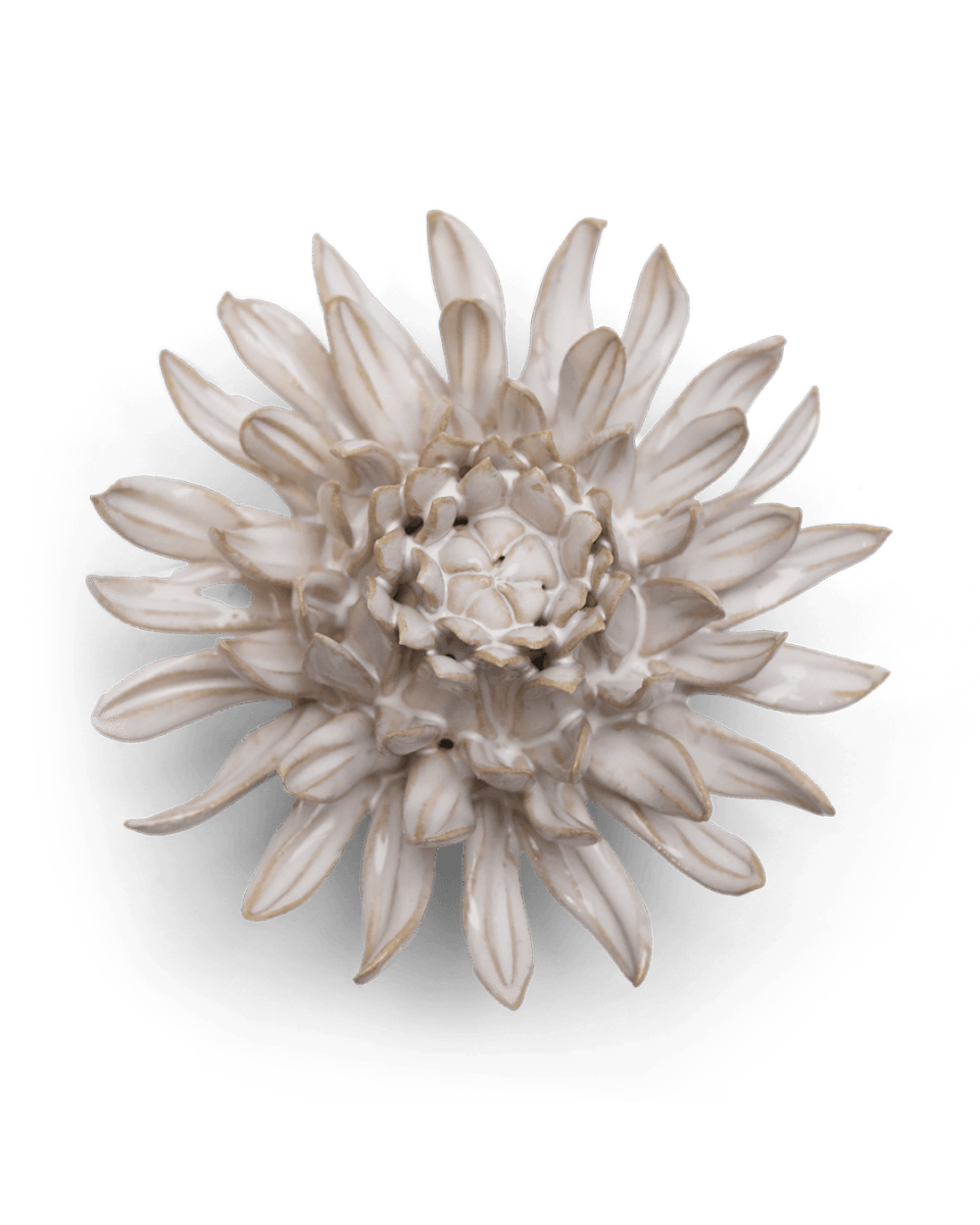 CO04 Ivory Spider Mum - Chive US Wholesale