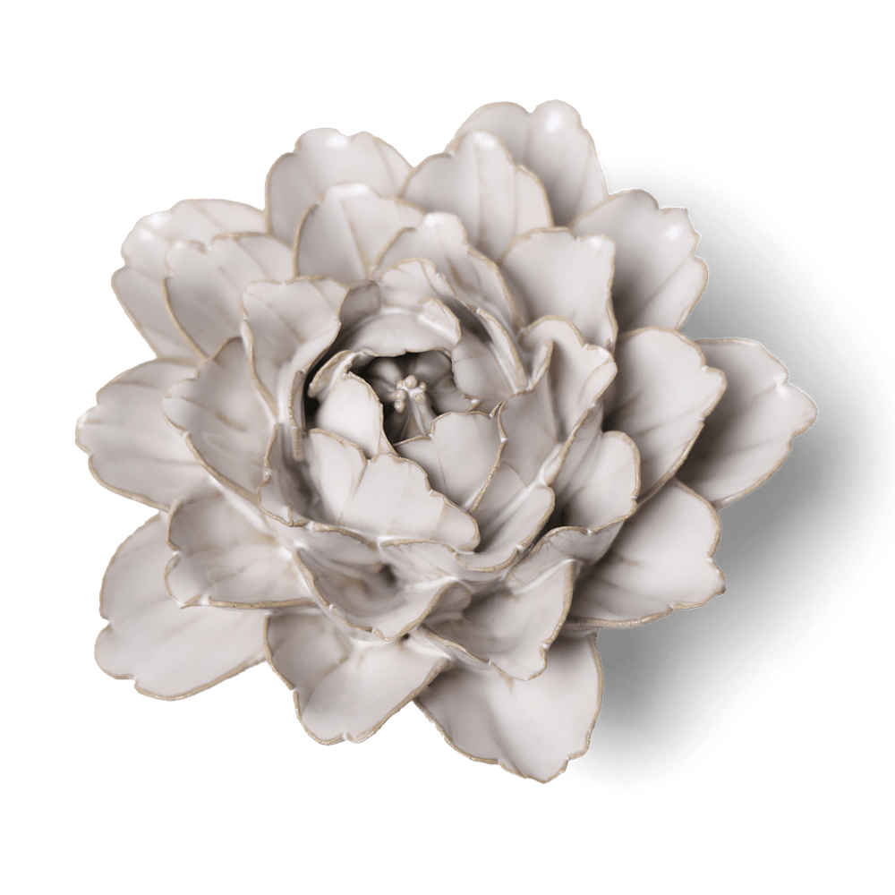 Coastal Ceramic Flower Ivory Zinnia - Chive US Wholesale