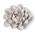 Coastal Ceramic Flower Ivory Zinnia - Chive US Wholesale