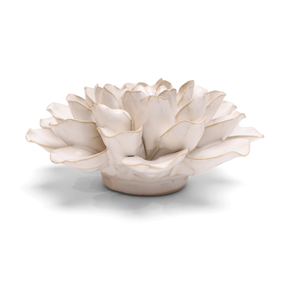 Coastal Ceramic Flower Ivory Water Lily - Chive US Wholesale