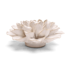 Coastal Ceramic Flower Ivory Water Lily - Chive US Wholesale