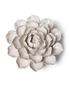 CO07 Ivory Empire Cabbage Flower - Chive US Wholesale