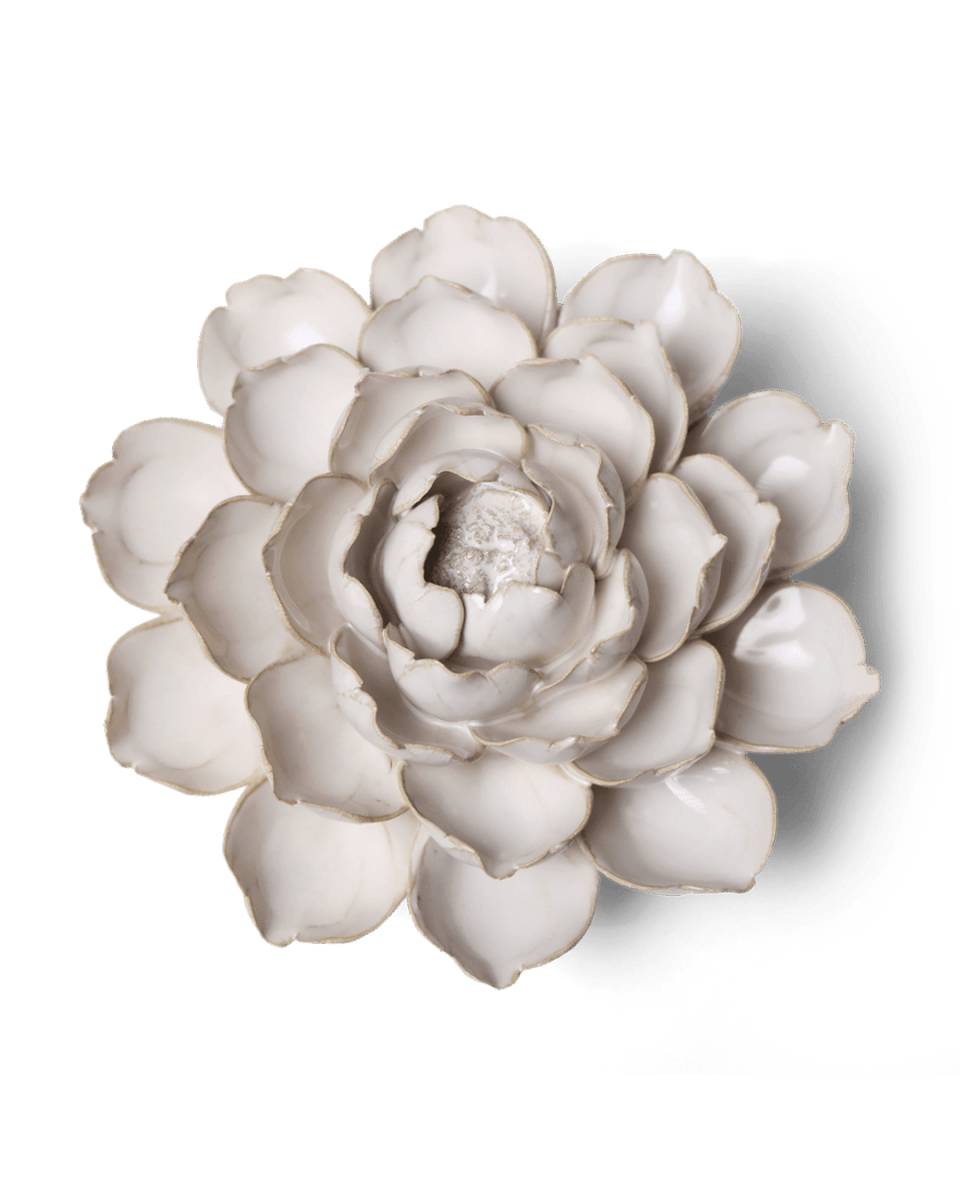 CO07 Ivory Empire Cabbage Flower - Chive US Wholesale