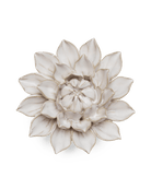 CO01 Ivory Monch Aster - Chive US Wholesale