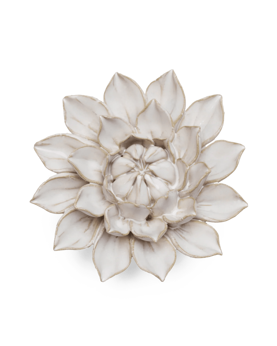 CO01 Ivory Monch Aster - Chive US Wholesale