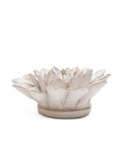 CO01 Ivory Monch Aster - Chive US Wholesale