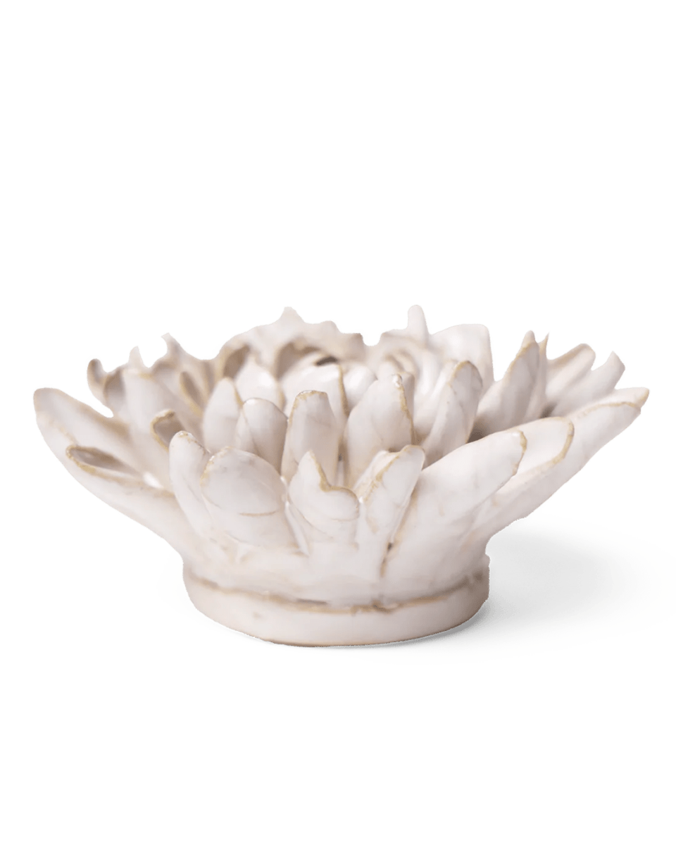 CO02 Ivory Chrysanthemum - Chive US Wholesale