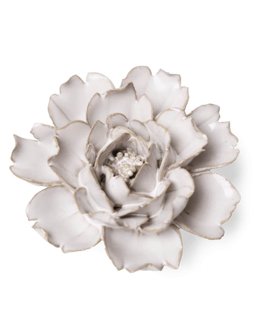 CO03 Ivory Rose - Chive US Wholesale