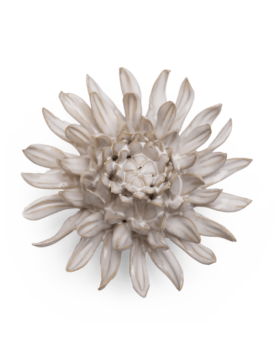 CO04 Ivory Spider Mum - Chive US Wholesale