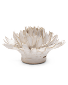 CO04 Ivory Spider Mum - Chive US Wholesale
