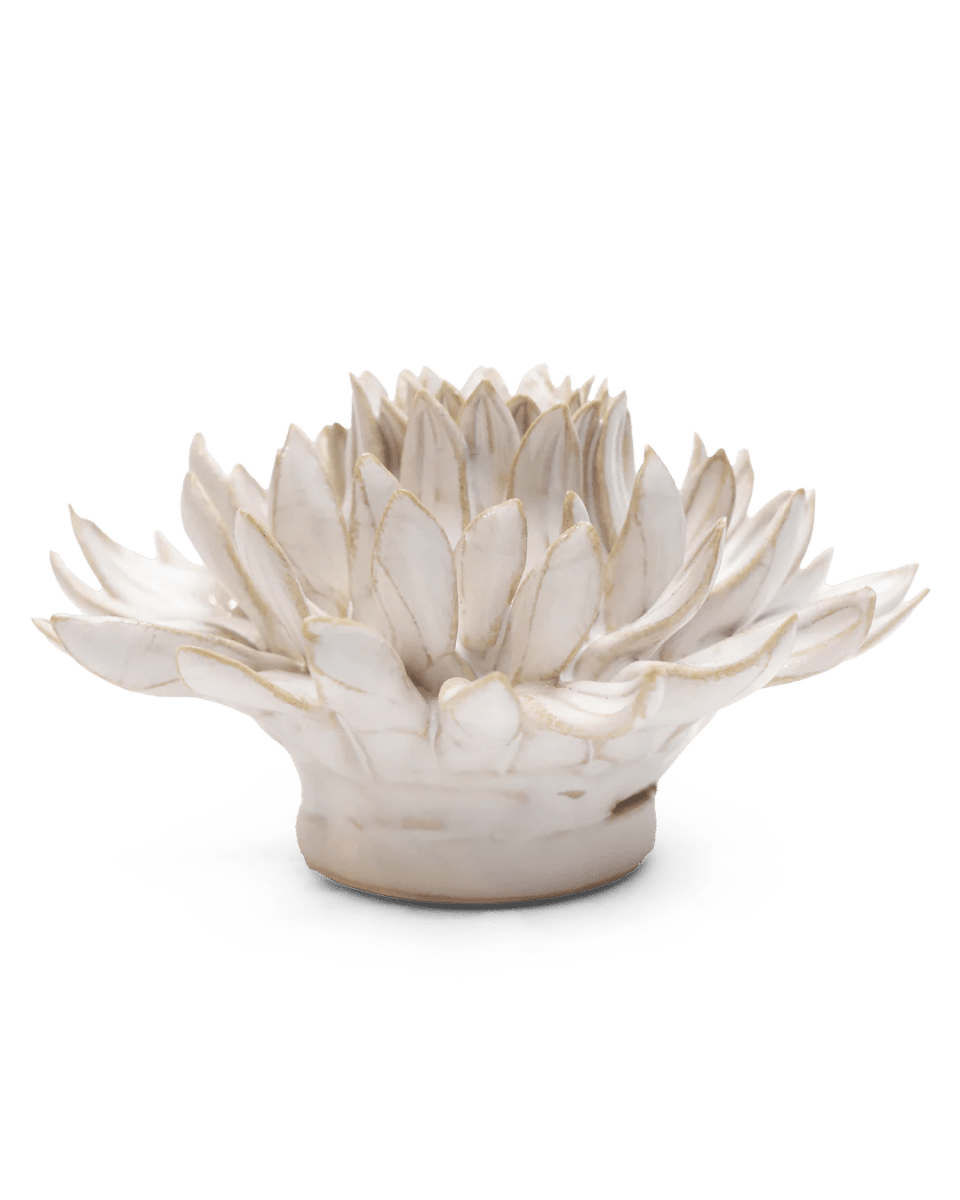 CO04 Ivory Spider Mum - Chive US Wholesale