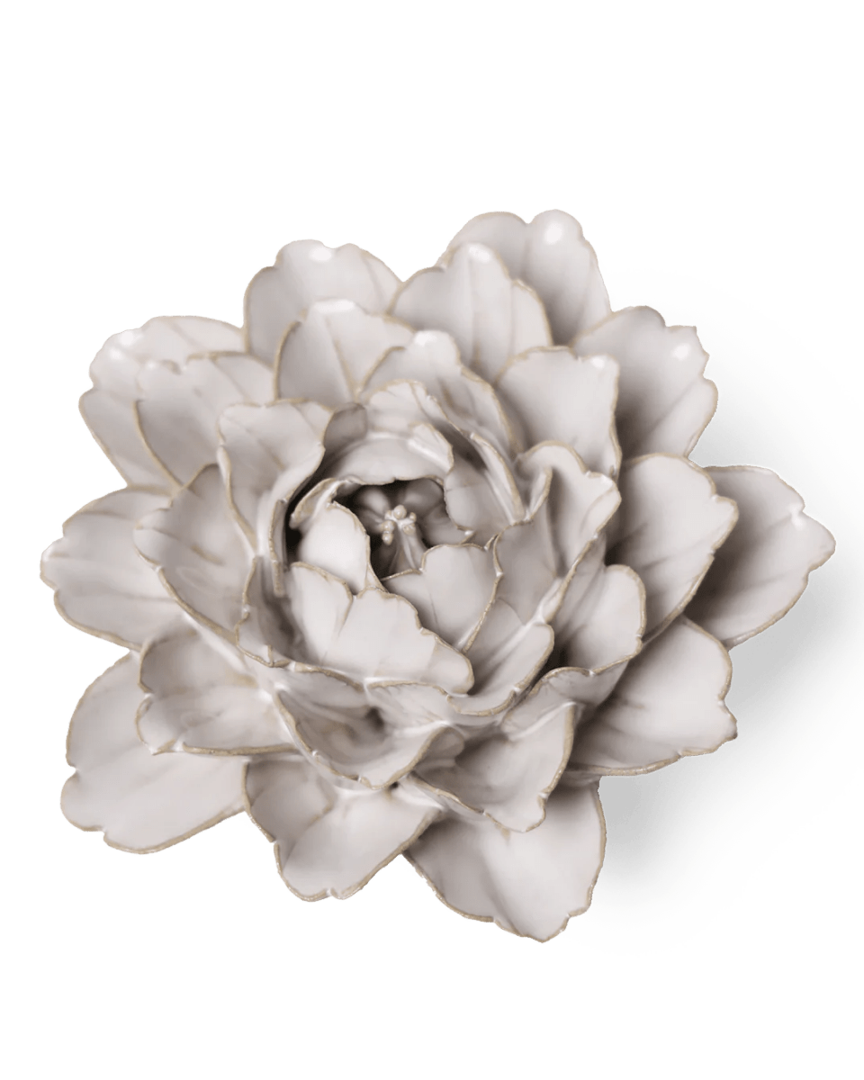 CO05 Ivory Comanche Peony - Chive US Wholesale