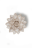 CO06 Ivory Madonna Azalea - Chive US Wholesale