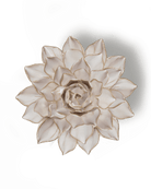 CO06 Ivory Madonna Azalea - Chive US Wholesale