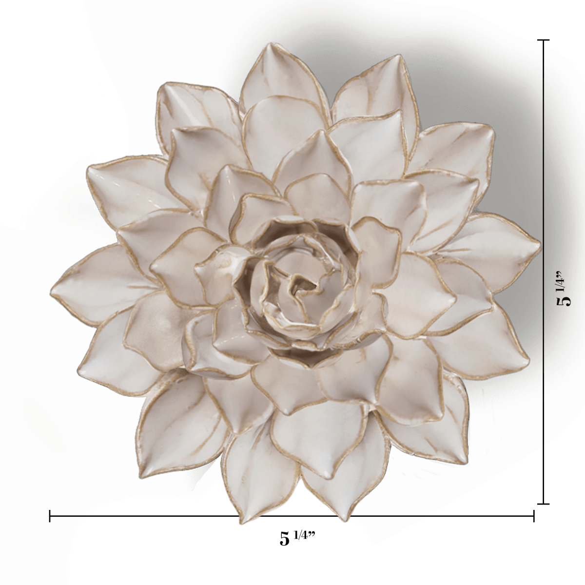 CO06 Ivory Madonna Azalea - Chive US Wholesale