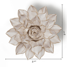 CO06 Ivory Madonna Azalea - Chive US Wholesale