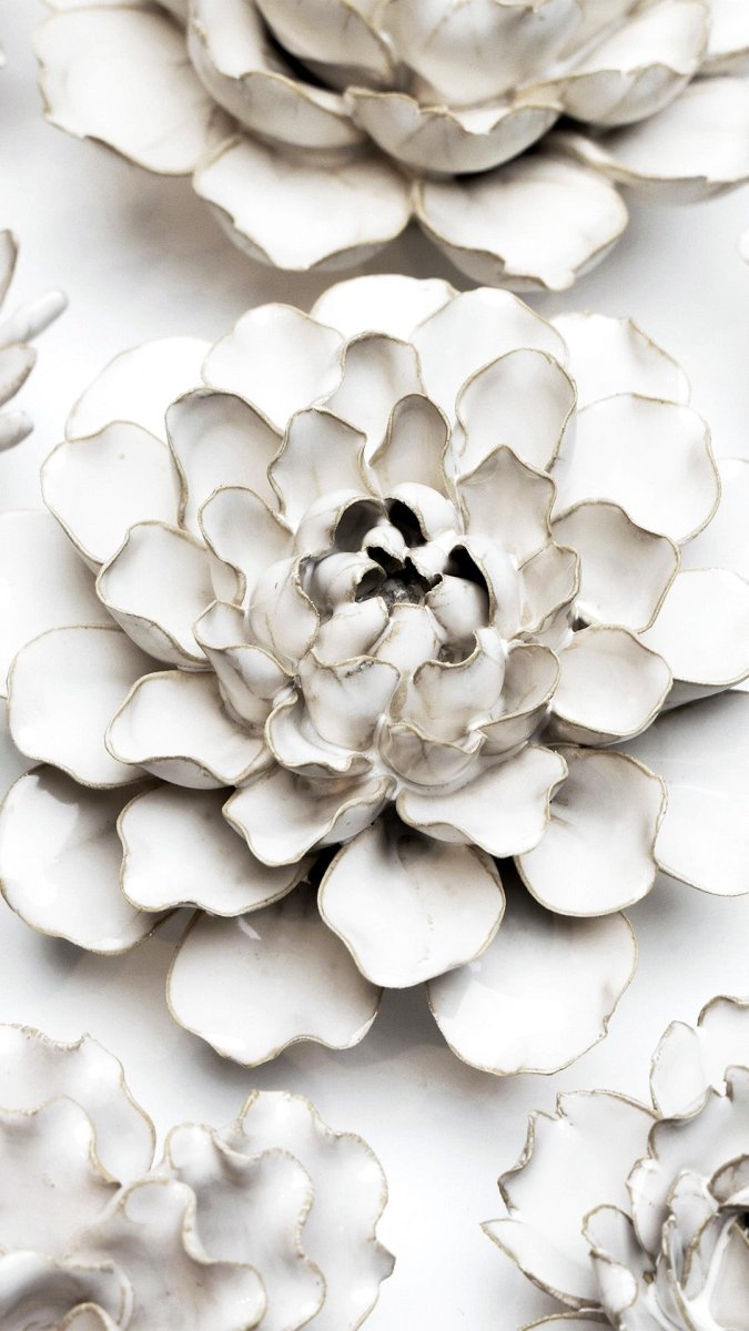 CO06 Ivory Madonna Azalea - Chive US Wholesale