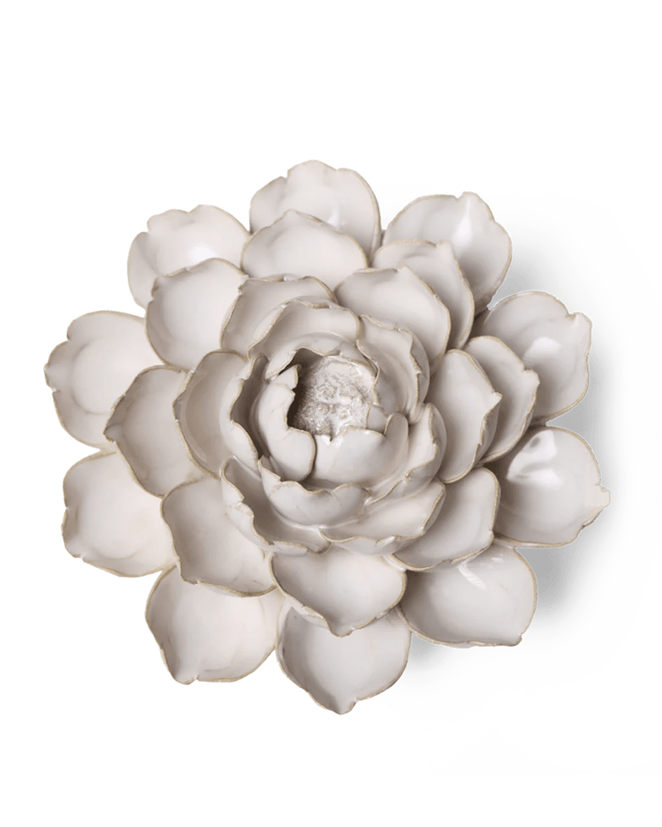 CO07 Ivory Empire Cabbage Flower - Chive US Wholesale