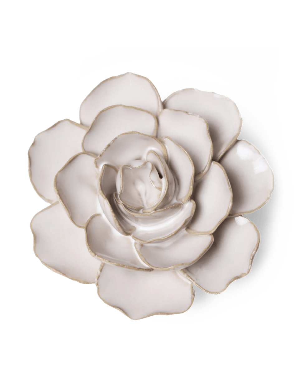 CO08 Ivory Amandine Ranunculus - Chive US Wholesale