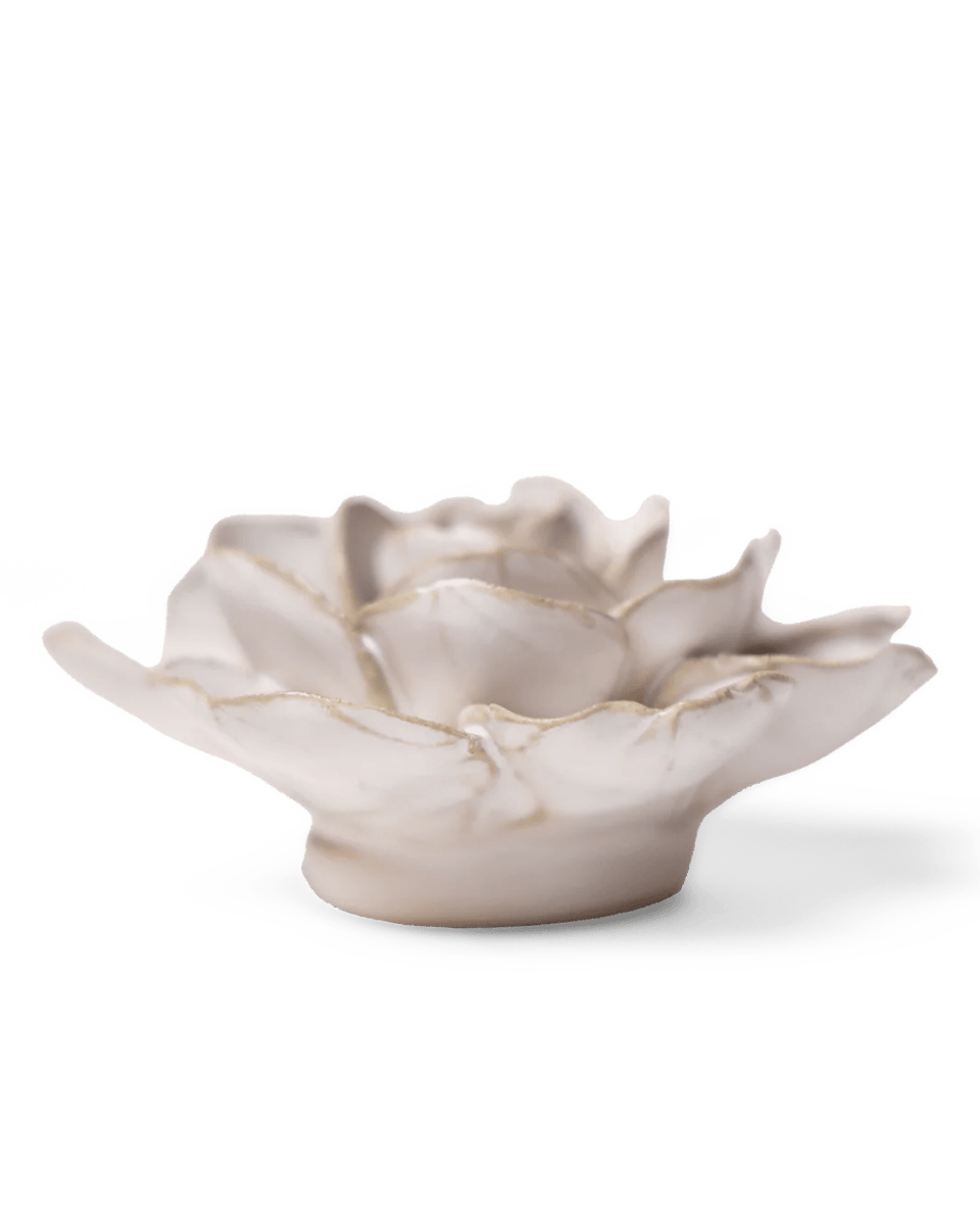 CO08 Ivory Amandine Ranunculus - Chive US Wholesale