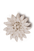 CO10 Ivory Strawflower - Chive US Wholesale