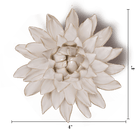 CO10 Ivory Strawflower - Chive US Wholesale